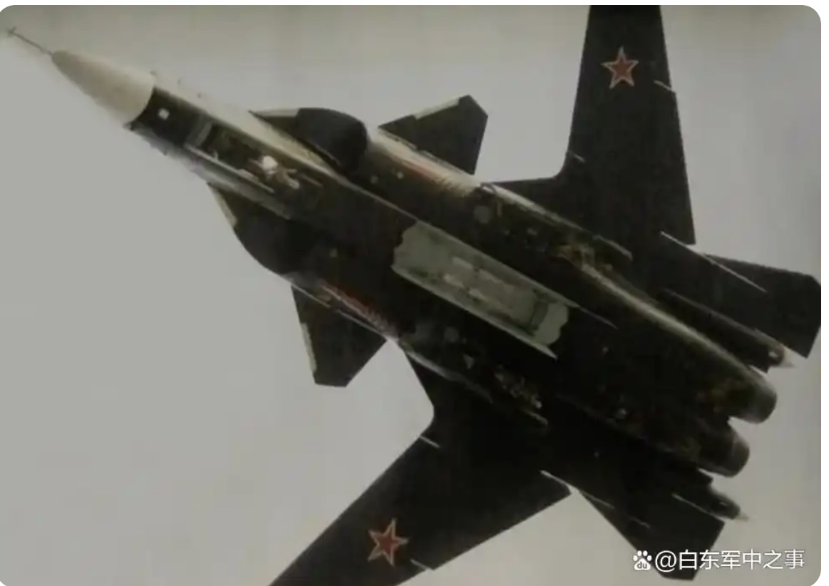 苏-47 仰视飞行